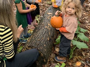 PumpkinPatch (magothy cooperative magothy cooperatives conflicted copy 2023-02-21)